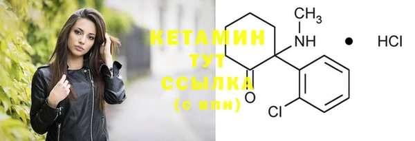 шишки Белоозёрский
