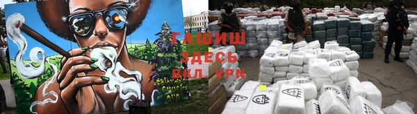 PSILOCYBIN Белокуриха
